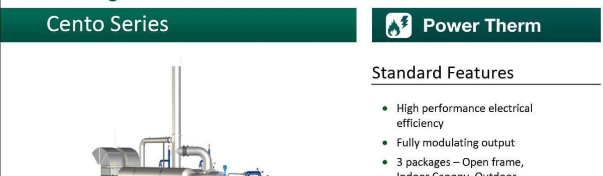 Cento T200 Natural Gas Containerised Datasheet